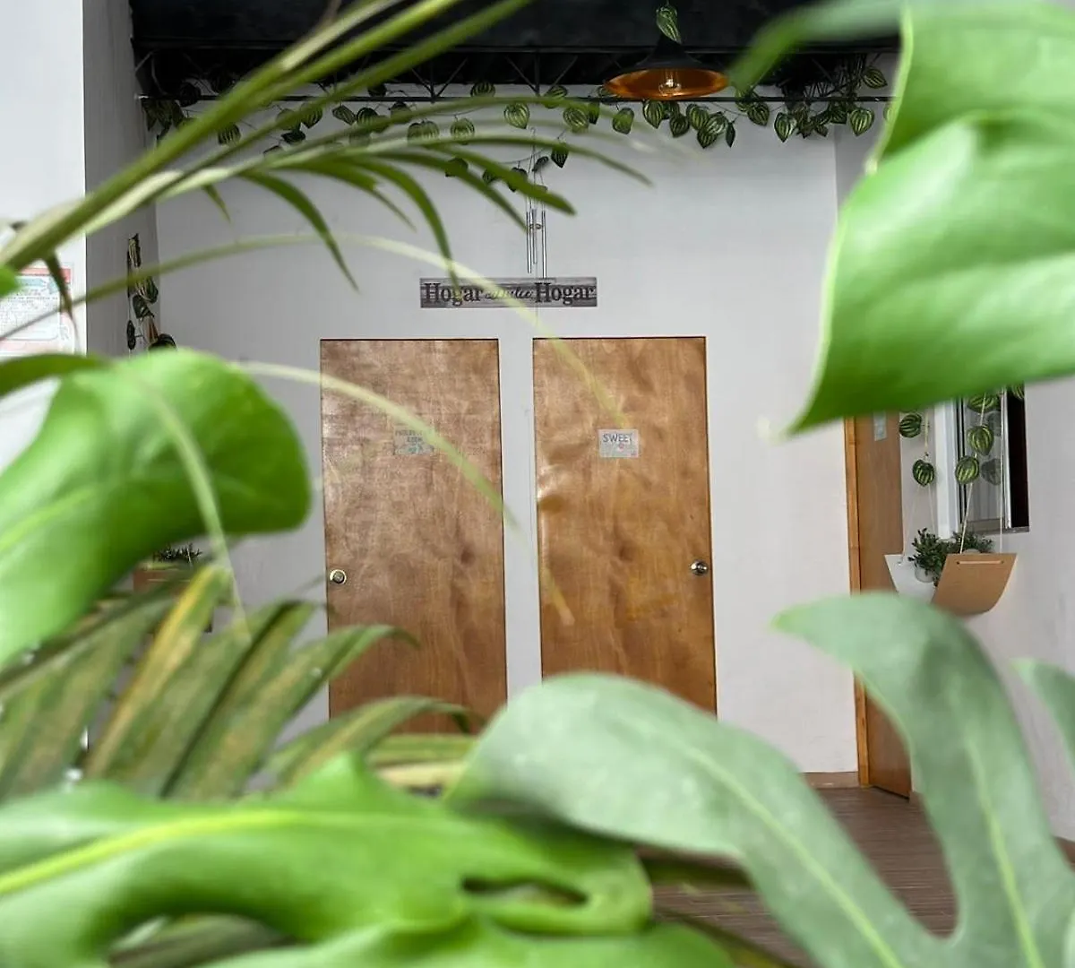 ** Guest house Casa Egos Pop Laureles Hotel Medellin Colombia