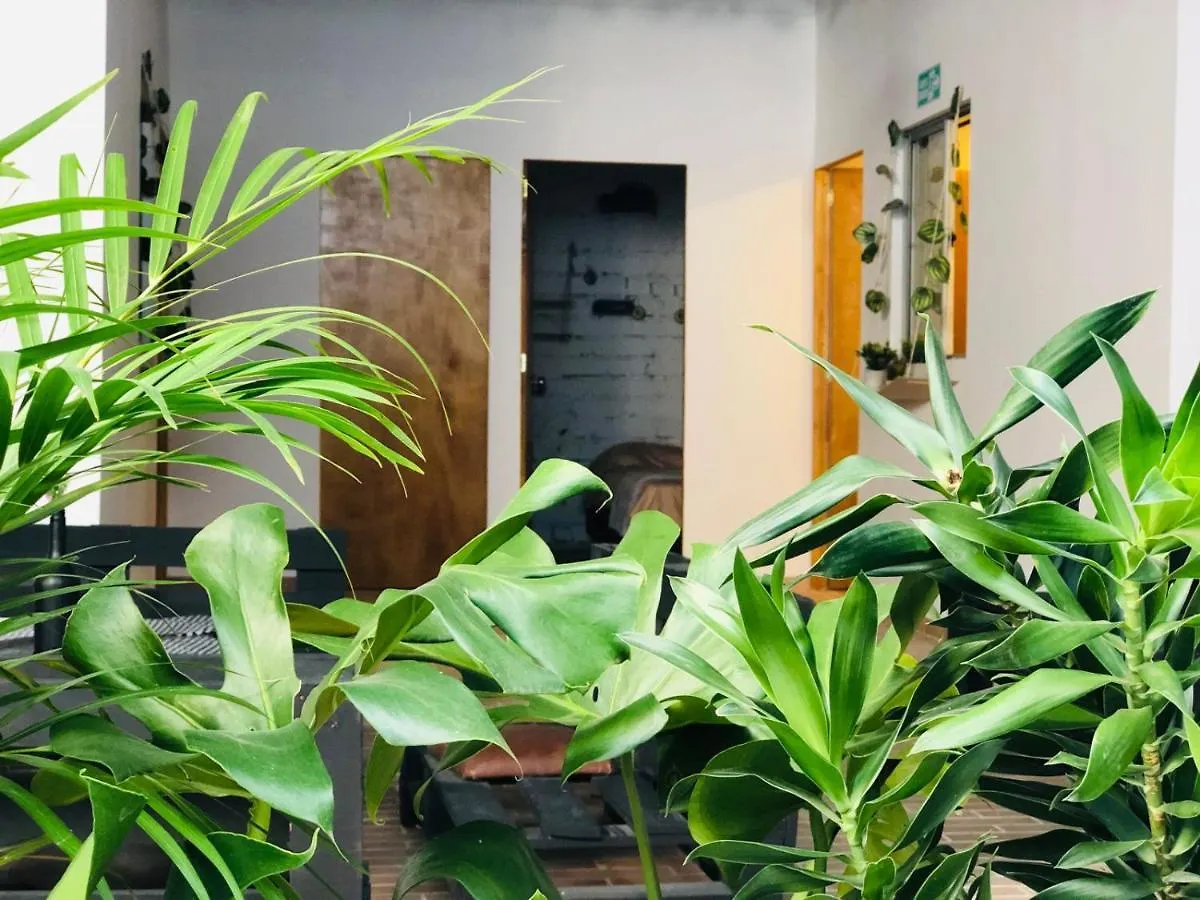 Casa Egos Pop Laureles Hotel Medellin Colombia