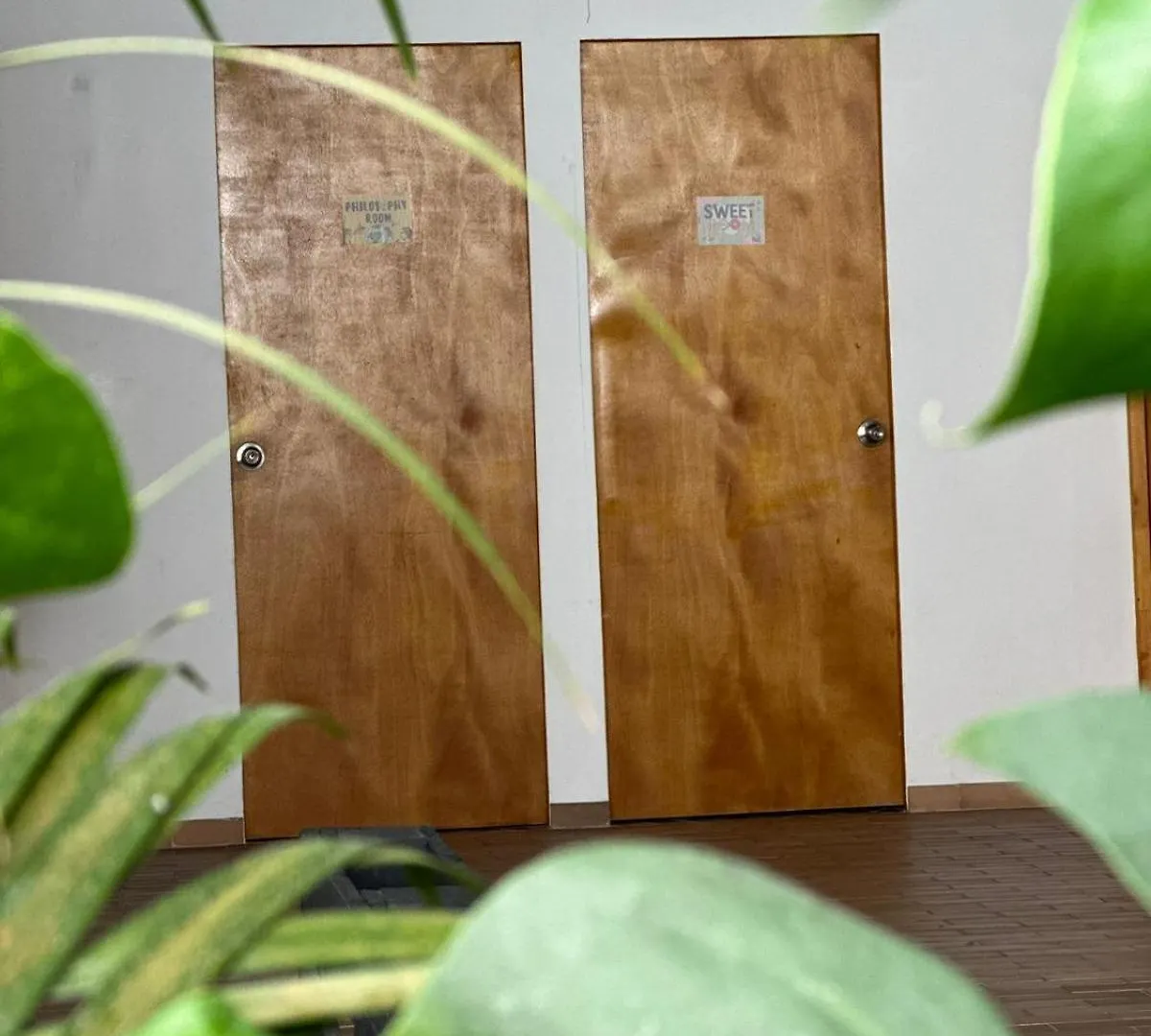 Casa Egos Pop Laureles Hotel Medellin Guest house