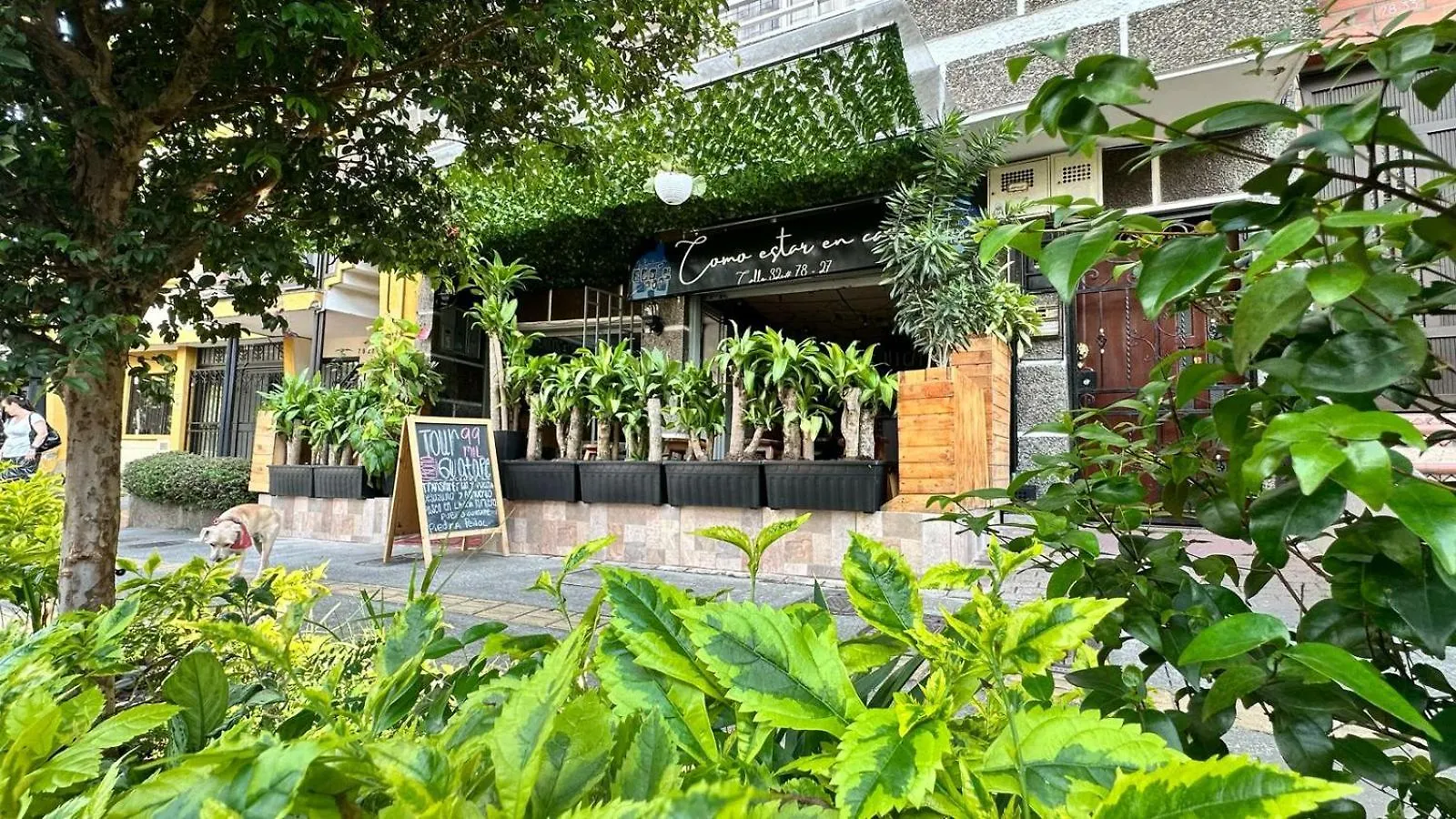 Casa Egos Pop Laureles Hotel Medellin Guest house